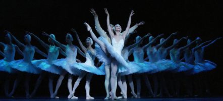 El Llac Dels Cignes Tchaikovsky - English National Ballet 1