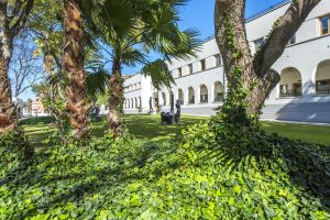 Centro Cultural “Pablo Ruiz Picasso” 8