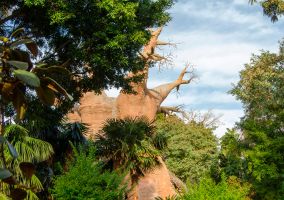 Bioparc Fuengirola 2