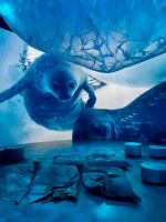 Antarctica Experience 2