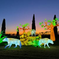 Brilla Zoo Festival 2