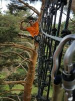 De Pino a Pino San Rafael 4