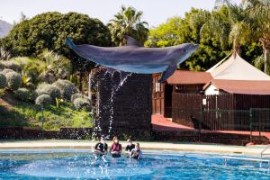 Selwo Marina Benalmádena 5