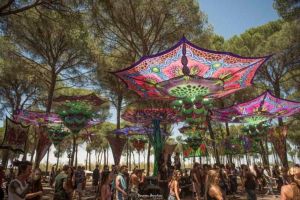 Transition Festival 2025 4