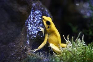 Acuario de Sevilla 7