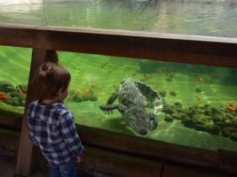 Terra Natura  - Benidorm 8