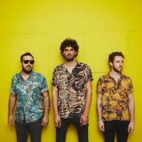 Colectivo Panamera 8