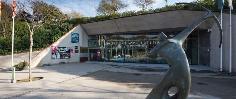 Museu Olímpic i de l’Esport Joan Antoni Samaranch de Barcelona 5