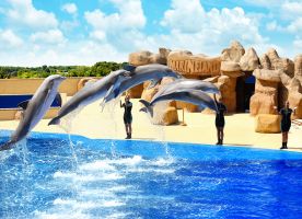 Marineland Catalunya 4