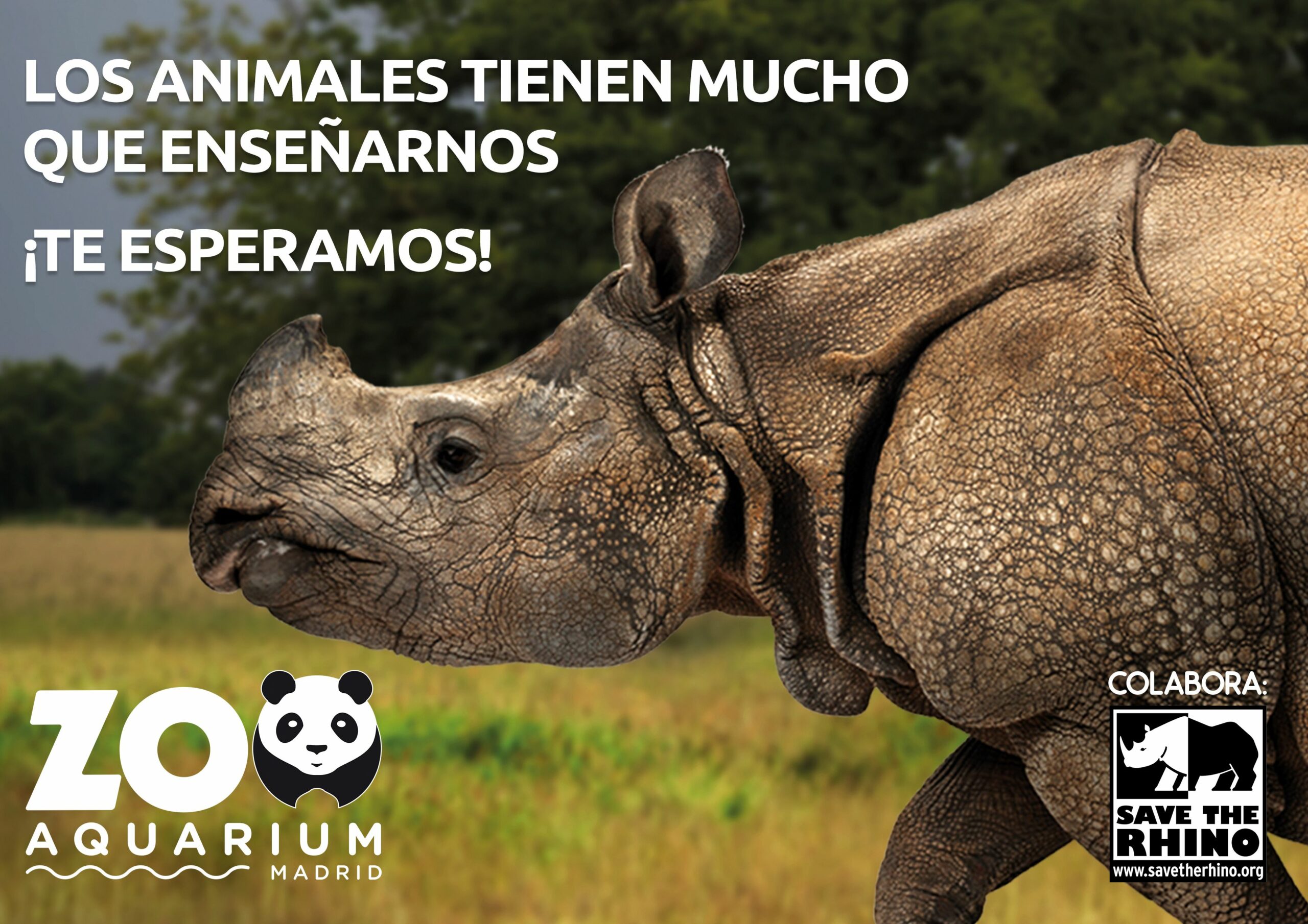 Entradas Zoo Aquarium de Madrid