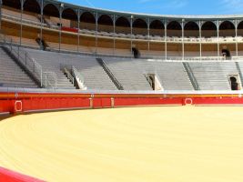 Plaza de Toros de Granada 6