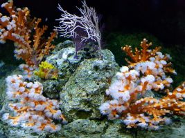 Acuario de Sevilla 28