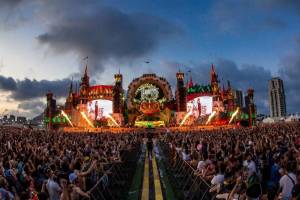 Zevra Festival 2025 4