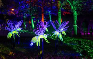 Natura Encesa Barcelona 4