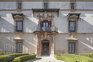 Palacio Domecq 3