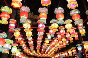 Great Chinese Lantern World 2