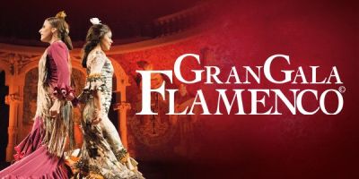 Gran gala flamenco 6