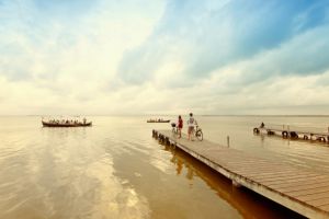 Albufera Bus Turistico 2