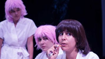 Cucaracha con Paisaje de Fondo 2