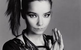 Björk 2