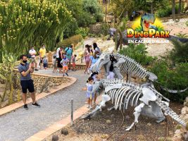 DinoPark Algar 17