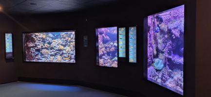 Bioparc Acuario de Gijón 8