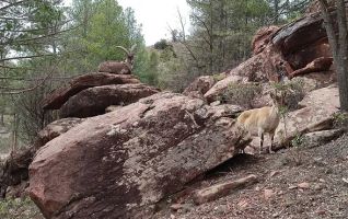 La Maleza Parque de Fauna 4