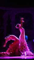 Gran gala flamenco 2