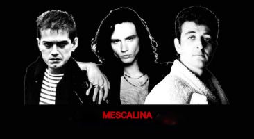 Mescalina - Banda Tributo 1
