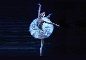 El lago de los cisnes &ndash; Ballet Cl&aacute;sico Internacional 2