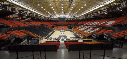 Pabellon Fuente de San Luis 1