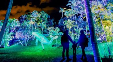 Naturaleza Encendida Aquatic Valencia 4