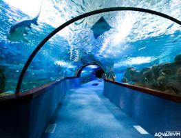 Aquarium Donostia-San Sebastián 8