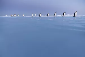 Antarctica Experience 6