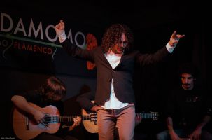 Cardamomo Flamenco 2