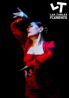 Las Tablas Flamenco 4