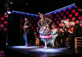 Espectáculo de flamenco de Los Tarantos Barcelona 5