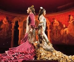 Gran gala flamenco 3