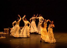 Ballet flamenco de Madrid 1
