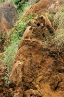 Parque de Cabárceno 12