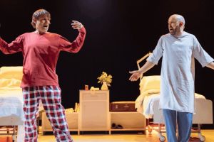 Hamlet - Albert Pla i Peyu 5