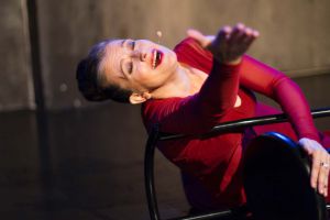 Silencios Cantados 1