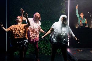 Las aves - La Calòrica 2