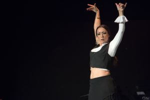 Romancero Gitano - Flamenco y Poesia Teatralizados 8