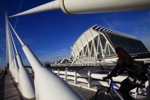 Museo de las Ciencias Príncipe Felipe de Valencia 3