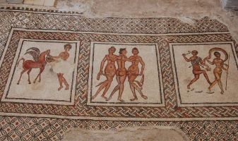 Yacimiento arqueológico Villa romana de Fuente Álamo 4