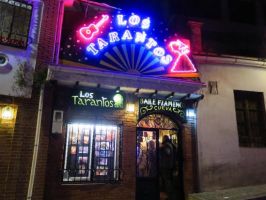 Cueva de Los Tarantos - Granada 5