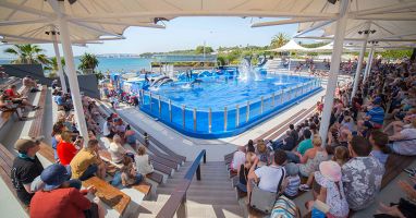 Marineland Mallorca 4