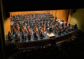 Auditori de Torrent 3