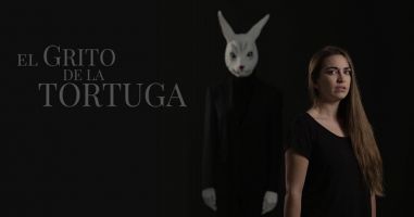 El grito de la tortuga 5